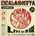 CICALA-MVTA結成20周年記念 LIVE at 磔磔