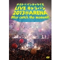 ナオト・インティライミ LIVE キャラバン 2013 @ ARENA Nice catch the moment! [DVD+マフラータオル]<初回限定盤>