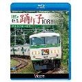 185系 特急踊り子108号 伊豆急下田～東京