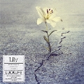 Lily [CD+DVD]<アーティスト盤>