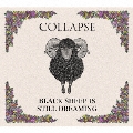 BLACK SHEEP IS STILL DREAMING
