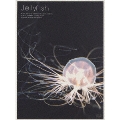 Jellyfish ヒーリングアート クラゲ