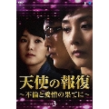 天使の報復 ～不倫と愛憎の果てに～ DVD-BOX3