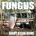 RISKY ASIAN HOME