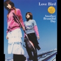 Love Bird