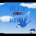 青い鳥