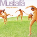 SOTAQUE BRASILEIRO(REMIX ALBUM)