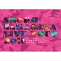 SHOKO NAKAGAWA LIVE TOUR 2011 今こそ団結!～笑顔の輪～夏祭りスペシャル＜初回生産限定版＞
