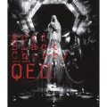 Acid Black Cherry 2009 tour "Q.E.D."