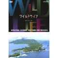 ワイルドライフ 世界自然遺産 小笠原諸島 絶海の楽園に奇跡の進化を見た