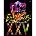 B'z LIVE-GYM Pleasure 2013 ENDLESS SUMMER -XXV BEST- 【完全版】