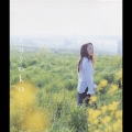 夕方に咲く花