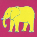 15 ELEPHANTS