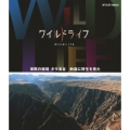 ワイルドライフ 東欧の秘境 タラ渓谷 断崖に野生を見た