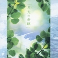 月光の奇跡