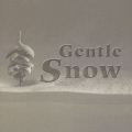 Gentle Snow