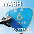 WASH