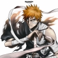TVアニメーション BLEACH オリジナルサウンドトラック VINYL EDITION＜完全生産限定盤＞