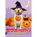 ゼウスのハロウィン おばけ屋敷で大騒動