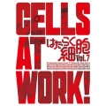 はたらく細胞 Vol.7 [DVD+CD]＜完全生産限定版＞