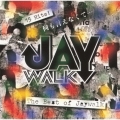 何も言えなくて…～THE BEST OF JAYWALK～
