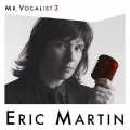 MR.VOCALIST 3