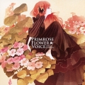 PRIMROSE FLOWER VOICE