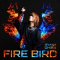 FIRE BIRD＜通常盤＞