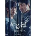 ある日～真実のベール DVD-BOX