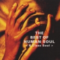 ベスト・オブ・ヒューマン・ソウル〈Ｂクラス・ソウル〉