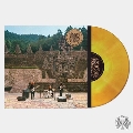 Levitation Sessions＜Orange, Yellow Swirl Vinyl＞