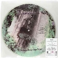 Il Chiarore Sorge Due Volte<限定盤/Picture Vinyl>