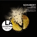 Schubert: Arpettione Sonata D.821, Sonatina for Violin D.384 (For Cello), Song Transcriptions