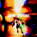 Up in Flames [LP+CD]