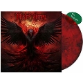 Mister Misery<限定盤/Transparent Red & Black Marbled Vinyl>