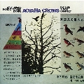 Aoyama Crows