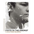 Fists in the Pocket (ポケットの中の握り拳)(Criterion Collection)