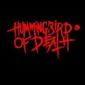 Hummingbird of Death/Raid - Split