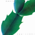 Green (Indie Exclusive)<Clear Vinyl>