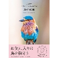 世界でいちばん素敵な鳥の教室