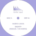 Dignityn (Manuel Tur Remixes)
