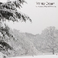 Winter Dream [10inch]