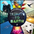 Tribute to Earth