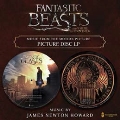 Fantastic Beasts and Where to Find Them (Picture Vinyl)<限定生産>