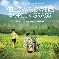 Yellow Flowers On Green Grass