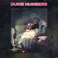 Dumb Numbers II