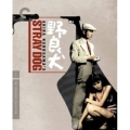 Stray Dog (野良犬)(Criterion Collection)