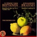 Beethoven: Piano Trio Op.70 No.1; Brahms: Piano Trio Op.101