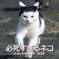 2026 必死すぎるネコカレンダー