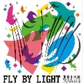 Fly by Light